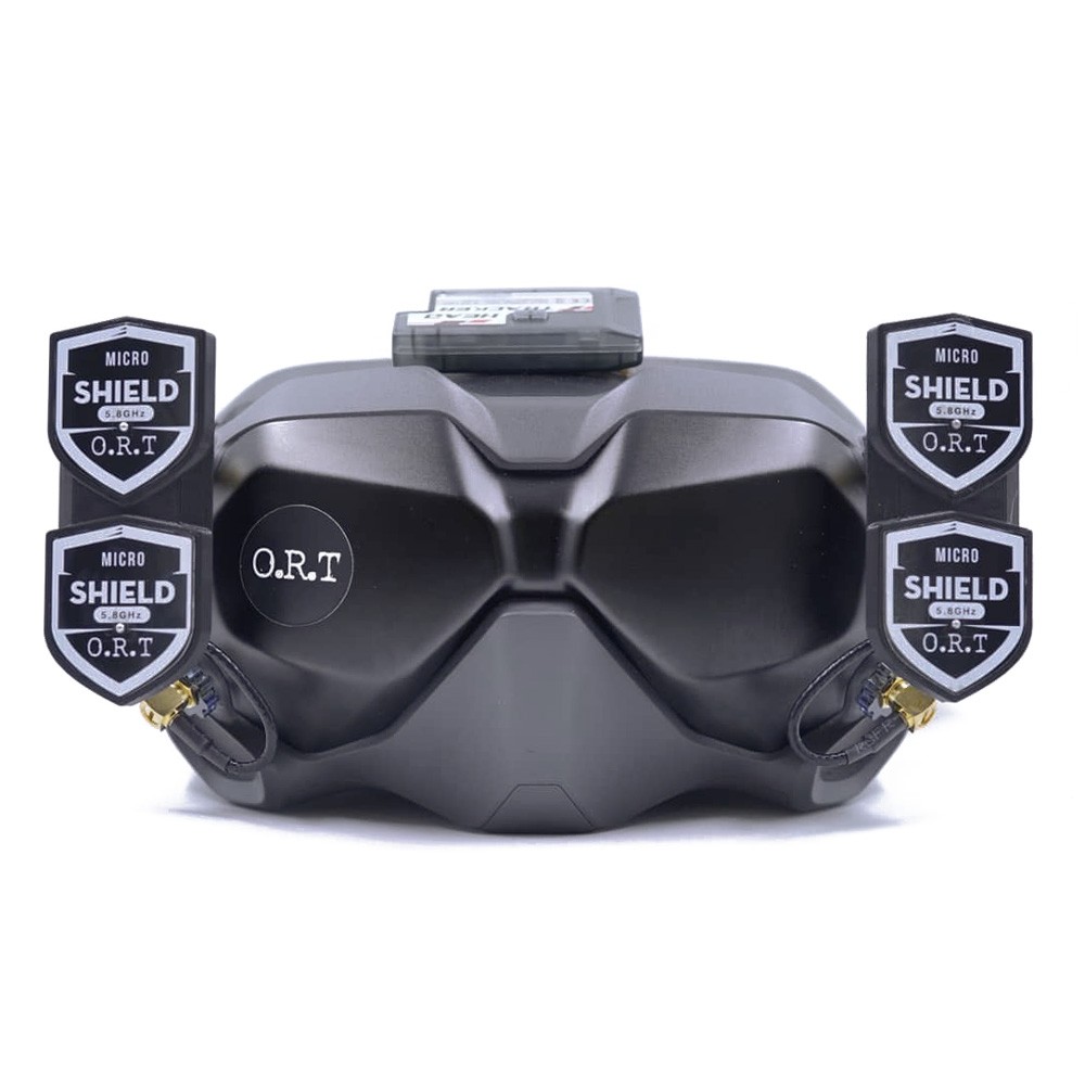 dji fpv goggles